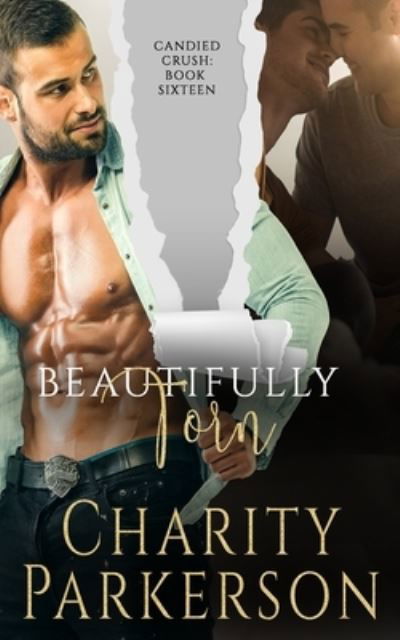 Cover for Charity Parkerson · Beautifully Torn (Paperback Bog) (2021)