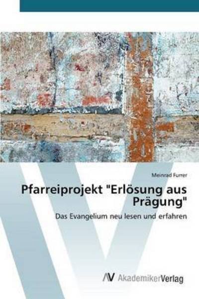 Cover for Furrer Meinrad · Pfarreiprojekt (Paperback Bog) (2015)