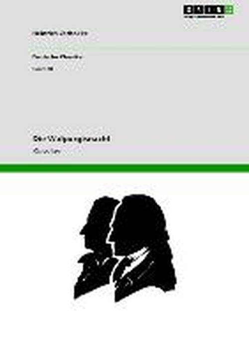 Die Walpurgisnacht - Heinrich Zschokke - Książki - GRIN Verlag - 9783640227884 - 14 grudnia 2008