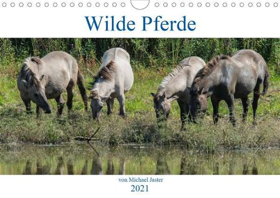 Cover for N · Wilde Pferde von Michael Jaster (Wand (Book)