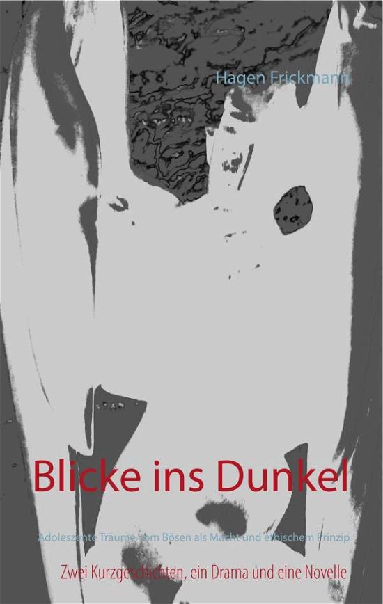 Cover for Frickmann · Blicke ins Dunkel (Book)