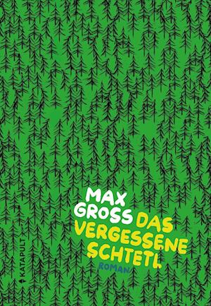 Cover for Max Gross · Das vergessene Schtetl (Book) (2024)