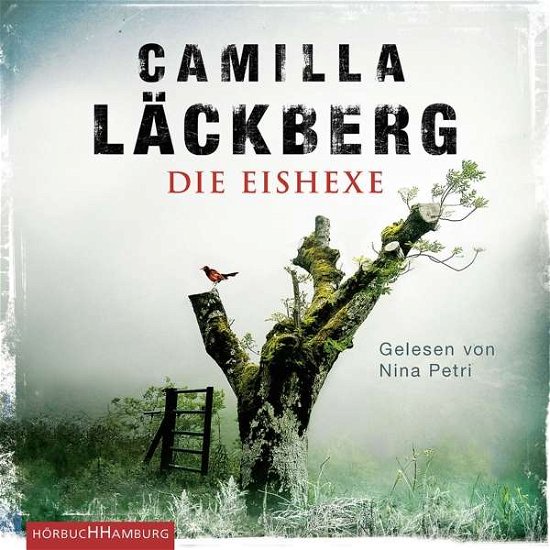 Cover for Audiobook · Die Eishexe (Audiobook (CD)) (2018)