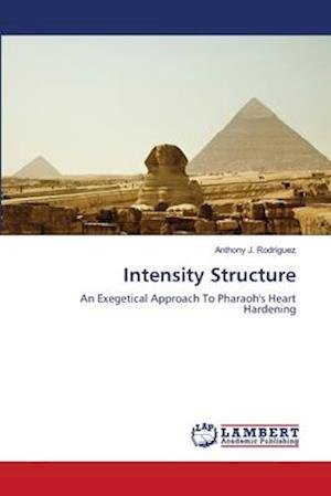 Cover for Rodriguez · Intensity Structure (Book) (2018)