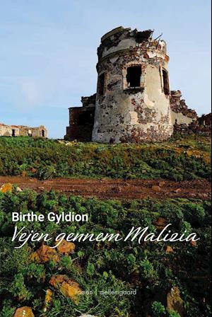 Cover for Birthe Gyldion · Vejen gennem Malizia (Hæftet bog) [1. udgave] (2022)