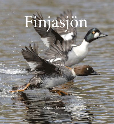 Cover for Magnus Johansson · Finjasjön (Hardcover Book) (2023)