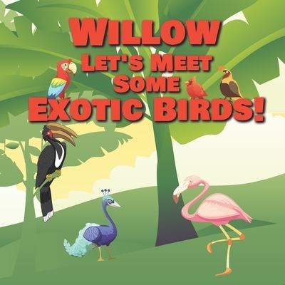 Cover for Chilkibo Publishing · Willow Let's Meet Some Exotic Birds! (Paperback Bog) (2020)