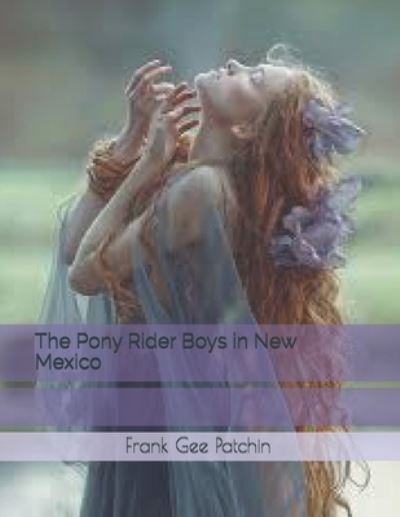 Cover for Frank Gee Patchin · The Pony Rider Boys in New Mexico (Paperback Book) (2021)