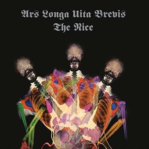 Cover for Nice · Ara Longa Vita Brevis (LP) [Limited edition] (2014)