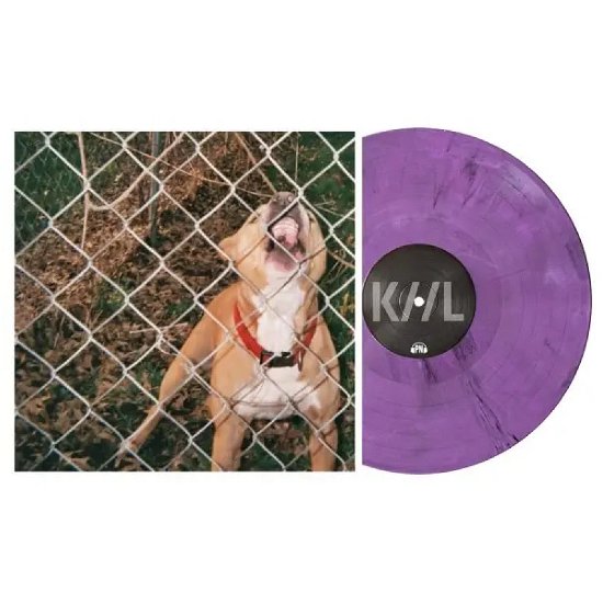 Pop Culture - Knocked Loose - Music - Pure Noise Records - 0810540036885 - May 10, 2024