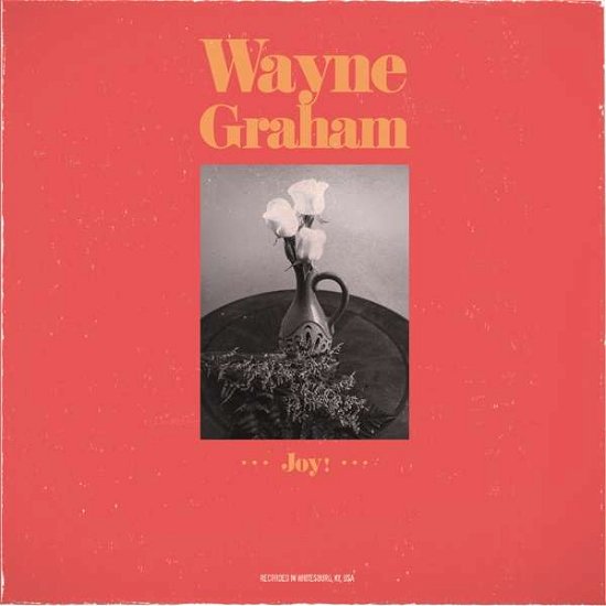 Cover for Wayne Graham · Joy (CD) (2018)