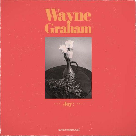 Cover for Wayne Graham · Joy (CD) (2018)