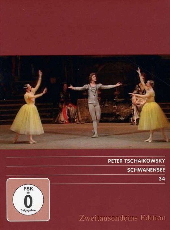 Cover for Bolshoi Ballett · Schwanensee (DVD)