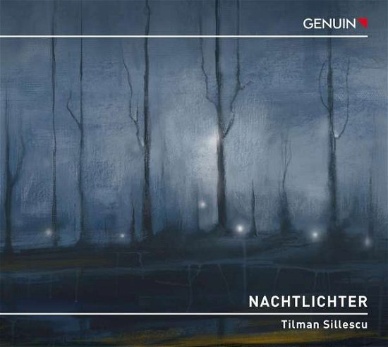 Cover for Staatskapelle Weimar / Frank · Nactlichter (Night Lights) - Symphony No. 1 By Tilman Sillescu (CD) (2022)