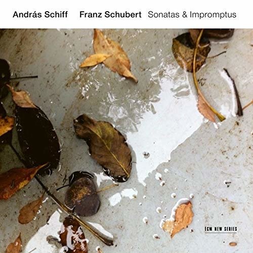 Cover for Andras Schiff · Franz Schubert: Sonatas &amp; Impr (CD) [Limited edition] (2019)