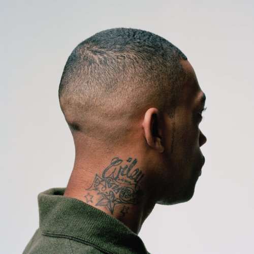 Cover for Wiley · 100 % Publishing (LP) (2011)