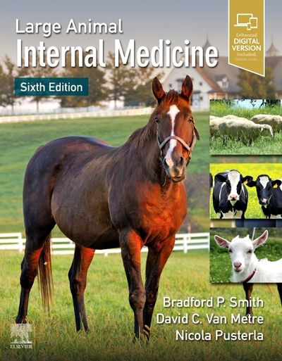 Cover for Bradford P. Smith-Nicola Pusterla-David C, Dvm, Da · Large Animal Internal Medicine (Gebundenes Buch) (2019)