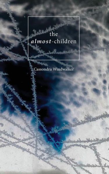 Cover for Cassondra Windwalker · The Almost-Children (Pocketbok) (2019)