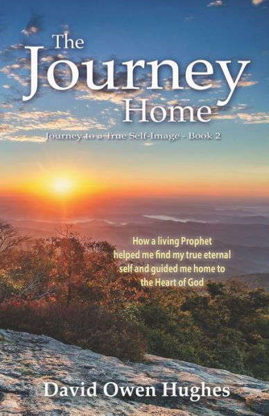 Cover for David Owen Hughes · The Journey Home (Paperback Book) (2017)