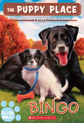 Cover for Ellen Miles · Bingo (the Puppy Place #65) (Paperback Bog) (2022)