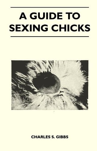 Cover for Charles S. Gibbs · A Guide to Sexing Chicks (Pocketbok) (2010)