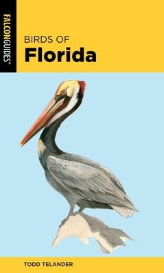 Cover for Todd Telander · Birds of Florida - Falcon Field Guide Series (Paperback Book) [2nd edition] (2020)