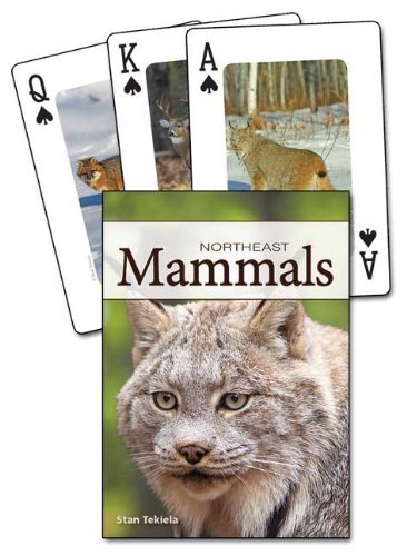 Cover for Stan Tekiela · Mammals of the Northeast Playing Cards (Taschenbuch) [Crds edition] (2012)