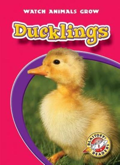 Cover for Colleen Sexton · Ducklings (Paperback Book) (2008)