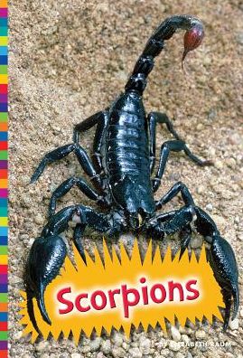 Cover for Elizabeth Raum · Scorpions (Hardcover Book) (2015)