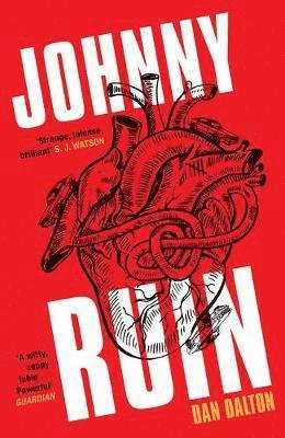Cover for Dan Dalton · Johnny Ruin (Pocketbok) (2019)