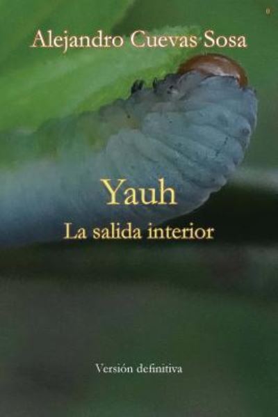 Yauh - Alejandro Cuevas-Sosa - Bücher - Grosvenor House Publishing Ltd - 9781786232885 - 1. August 2018