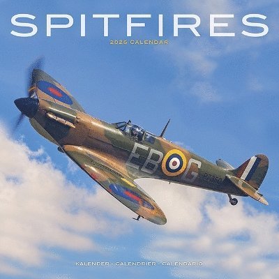 Spitfires Calendar 2025 Square Plane Wall Calendar - 16 Month (Kalender) (2024)