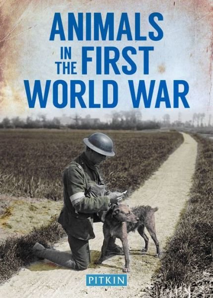 Cover for Peter Street · Animals in the First World War (Paperback Book) (2016)
