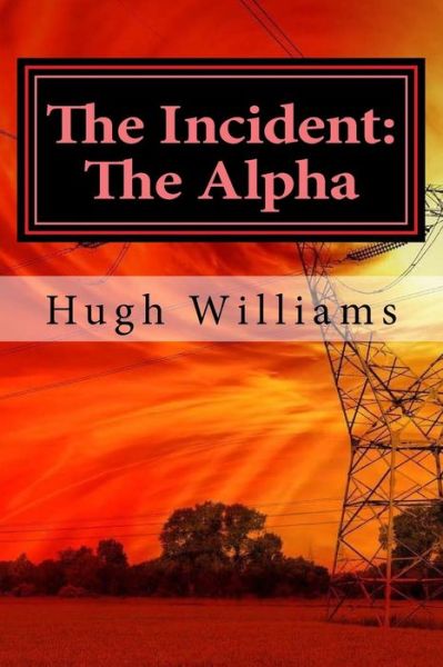 Cover for Hugh Richard Williams · The Incident (Paperback Book) (2017)