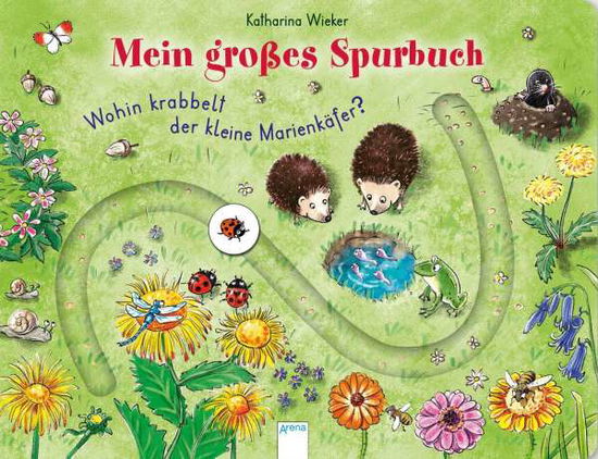 Cover for Katharina Wieker · Wohin krabbelt der kleine Marienkäfer? (Board book) (2021)