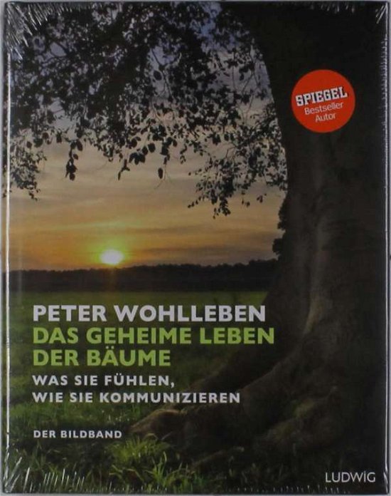 Cover for Wohlleben · Geheime Leben der Bäume,Bildb (Bog)