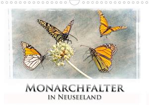 Monarchfalter in Neuseeland (Wandk - Bort - Books -  - 9783671147885 - 