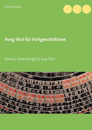 Cover for Pasteur · Feng Shui für Fortgeschrittene (Book)