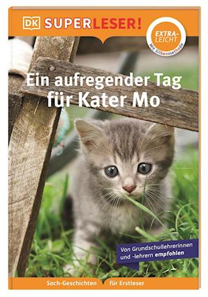 Cover for Wittenburg Christiane · Superleser! Ein Aufregender Tag FÃ¼r Kater Mo (Book)