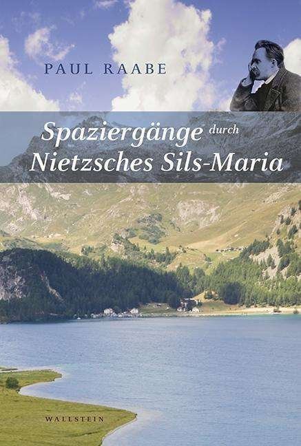 Cover for Raabe · Spaziergänge durch Nietzsches Sil (Buch)