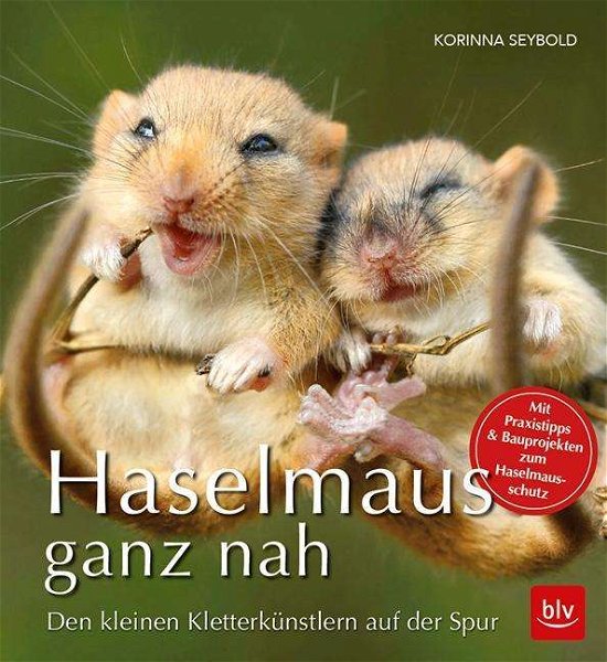 Cover for Seybold · Haselmaus ganz nah (Buch)