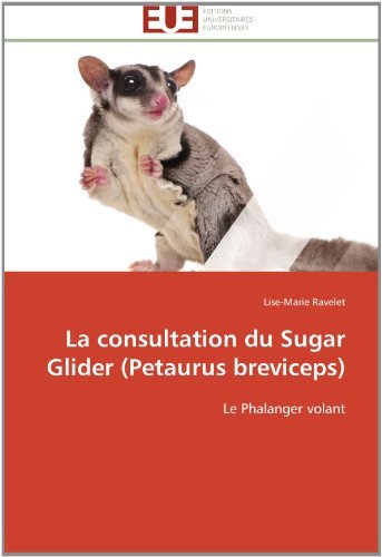 Cover for Lise-marie Ravelet · La Consultation Du Sugar Glider (Petaurus Breviceps): Le Phalanger Volant (Pocketbok) [French edition] (2018)