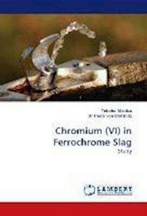 Cover for Maidza · Chromium (VI) in Ferrochrome Sla (Bok) (2009)