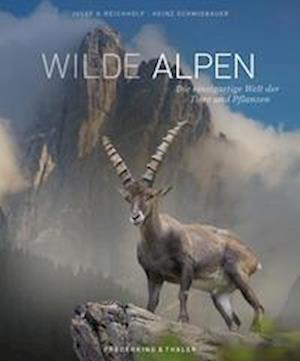 Cover for Josef H. Reichholf · Wilde Alpen (Book) (2023)