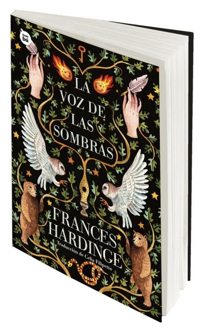 Cover for Frances Hardinge · La voz de las sombras (Paperback Book) (2020)