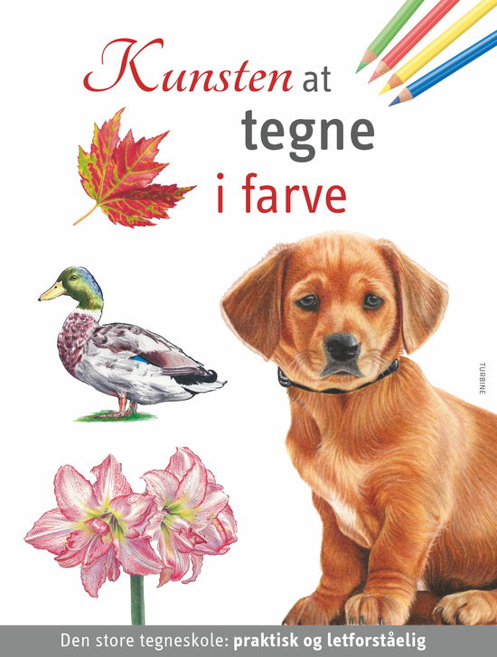 Cover for Kunsten at tegne i farve (Hardcover Book) [1th edição] (2024)