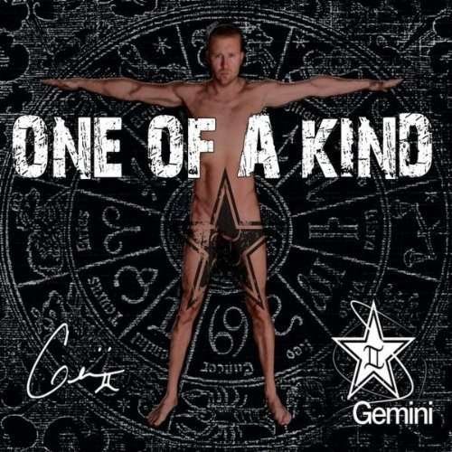 Cover for Gemini · One of a Kind (CD) (2010)