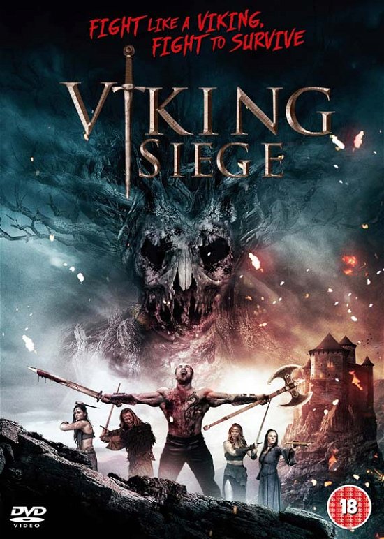Cover for Viking Siege (DVD) (2017)