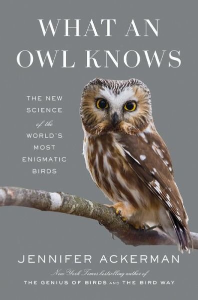 Cover for Jennifer Ackerman · What an Owl Knows (Bok) (2023)