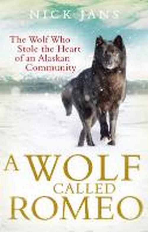 Cover for Nick Jans · A Wolf Called Romeo (Paperback Book) (2014)